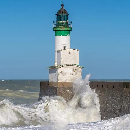 Les Pelicans Le Tréport