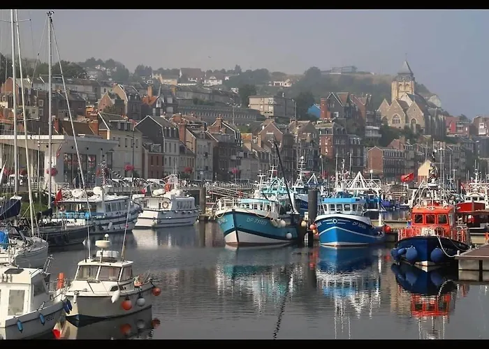 Les Pelicans Le Treport